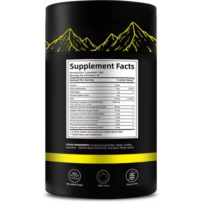 Funelly gomitas shilajit booster panama1